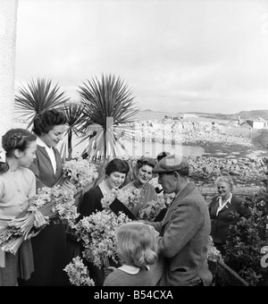 I primi narcisi giallo chiamato Soleil D'or, che sono cresciute sulle isole di Scilly, vengono inviati, imballati in scatole e inviati in barca a Penzance, per mercato di Covent Garden. ;Febbraio 1953 ;D647-008 Foto Stock