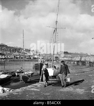 I primi narcisi giallo chiamato Soleil D'or, che sono cresciute sulle isole di Scilly, vengono inviati, imballati in scatole e inviati in barca a Penzance, per mercato di Covent Garden. ;Febbraio 1953 ;D647-011 Foto Stock