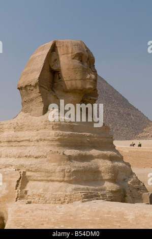 La Grande Sfinge di Giza, che si ritiene sia stata costruita dagli antichi egizi del Vecchio Regno durante il regno del faraone Khafre Cairo Egitto Foto Stock