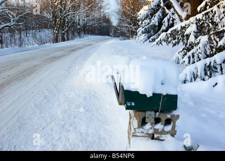 Cassetta postale rurale a strada in inverno con neve coperti di alberi e la luce del sole in alto Foto Stock
