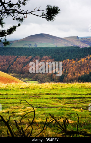 Vista da aprire Hagg attraverso i boschi nella valle verso perdere Hill nel distretto di picco nel Derbyshire Foto Stock