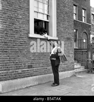 Animali Cani: Nero mongrel Susan che vive in un blocco di uffici a 7, Bruce Grove, Tottenham, raccoglie la posta dal postino ogni mattina e lo invia all'ufficio corretto nel blocco. Agosto 1953 D5105-002 Foto Stock