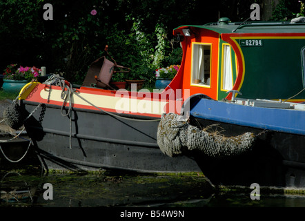 Archi colorati della tradizionale narrowboats ormeggiato a fianco di ogni altro a Slough braccio del Grand Union Canal, Iver, Londra Foto Stock