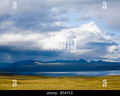 Distanti tempesta di pioggia oltre il parco nazionale di Þingvellir Suðurland Islanda Foto Stock