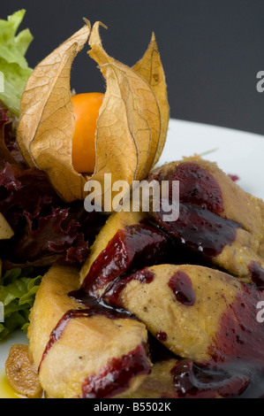 Fegato d oca (foie gras) Foto Stock