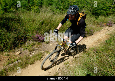 Mountain bike trailrider Pennhydd trail Afan Valley West Glamorgan Foto Stock
