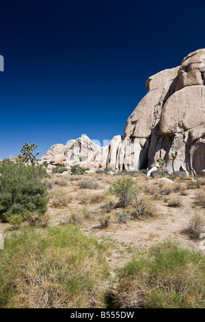 Hidden Valley a Joshua Tree National Park è situato nel sud-est della California. Foto Stock