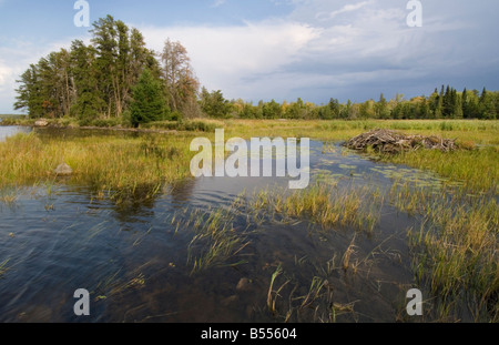 Beaver Pond in piccoli bay off Brule si restringe Rainy lago Parco nazionale Voyageurs Minnesota USA Foto Stock