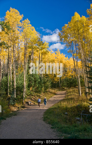 Colorato Foglie di autunno nel New Mexico e del Colorado Foto Stock