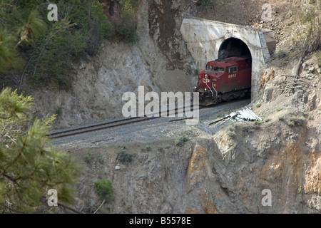 Il treno passa la sua via attraverso il Fraser Canyon della Columbia britannica in Canada Foto Stock