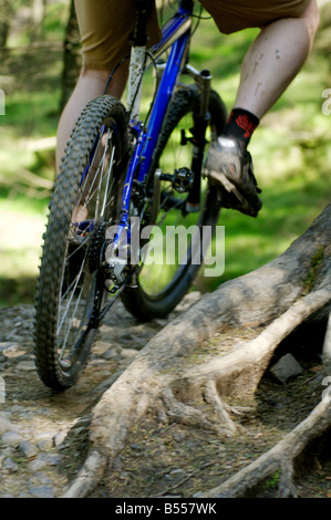 Mountain bike trailrider Hidden Valley Afan Valley West Glamorgan Galles del Sud Foto Stock