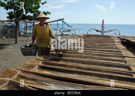 Sale tradizionale allevamento di Amed, Indonesia Foto Stock