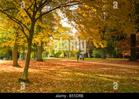 Persone che camminano nella Valle dei giardini, Virginia Water, Surrey, Inghilterra Foto Stock