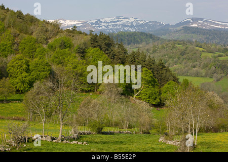 L'Auvergne in primavera guardando verso i Monts du Cantal Auvergne parco naturale regionale Francia Foto Stock