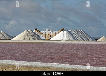 West Indies Bonaire saline mare miniera di sale di Pekelmeer Foto Stock