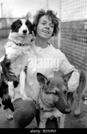 Animali: cani abbandonati. Mettere i proprietari di cani nei canili e lasciare la città. La sig.ra D. Sementi di Lagonda canile, maggiore Bartle, Nr. Preston Foto Stock