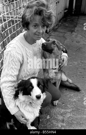 Animali: cani abbandonati. Mettere i proprietari di cani nei canili e lasciare la città. La sig.ra D. Sementi di Lagonda canile, maggiore Bartle, Nr. Preston Foto Stock