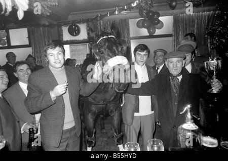 Vincitore di quest'anno il cavallo mostra di trotto lungo l autostrada, Stepney, era dieci anni di castrazione, High Road orgoglio pilotato da ortolano, Wally Hart di Stepney. Tre cavalli hanno preso parte alla mostra per la carità. I proventi per andare al contribuendo a rendere un felice Natale per i vecchi pensionati di età del Derby e Joan Club in Deancross Street, E.1. Il vincitore di tre corone svedesi Pub dopo la mostra con il proprietario e Billy Walker lì per vedere il fair play. Dicembre 1969 Z12060-002 Foto Stock