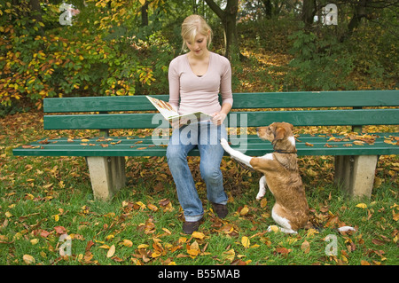 Comportamento del cane: Un cane chiede l'attenzione del suo proprietario di lettura Foto Stock