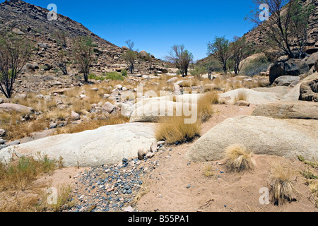 Percorso turistico nel Brandberg massiccio montuoso della Damaraland Namibia Foto Stock