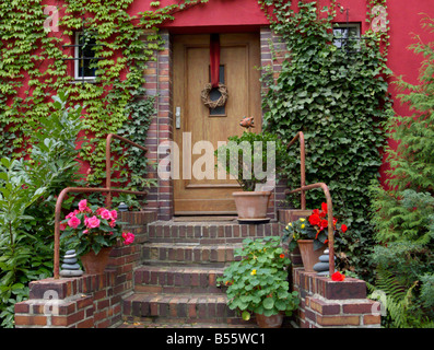 Giapponese (superriduttore parthenocissus tricuspidata), comune edera (Hedera helix), begonie (begonia) e giardino nasturtium (Tropaeolum majus) Foto Stock