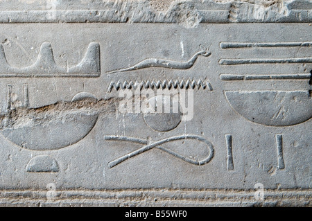 Il fregio all Amenhotep la corte al Tempio di Luxor e di Tebe costruito circa 1400 BCE si trova sulla riva est del fiume Nilo in Egitto Luxor Foto Stock