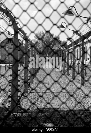 Due righe di alta tensione del filo spinato recinzione elettrificata visto attraverso una catena collegamento recinto dell'ex campo di concentramento di Auschwitz ho Foto Stock