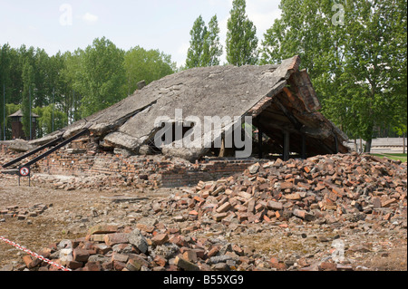 Rovine di una camera del gas e crematorio edifici dell'ex campo di concentramento di Auschwitz II (Birkenau) Foto Stock