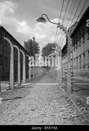 Due righe di alta tensione del filo spinato recinto elettrico nell'ex campo di concentramento di Auschwitz Foto Stock