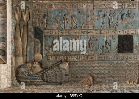 La nut della dea del cielo scolpita sul soffitto astronomico nella sala esterna dell'ipostile di Dendera o Tempio di Dendara Hathor nella provincia di Qena Egitto Foto Stock