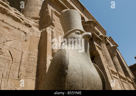 Un falco statua in granito di Horus presso il Hypostyle Hall nel tempio di Edfu dedicato al dio falco Horus, costruita durante il periodo tolemaico 237 -57 BCE, Egitto Foto Stock