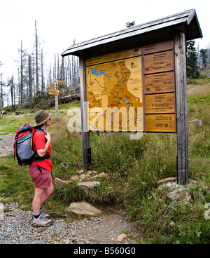 Donna walker mappa di lettura e firma per i sentieri del monte Rachel bavarese Bayerischer Wald Baviera Germania Foto Stock