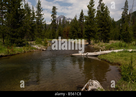 Soda Creek a scintille Lago di buon esempio di un edificio restaurato del corso del fiume utilizzando le previsioni del computer dopo la grande alluvione del 1966 Oregon Foto Stock