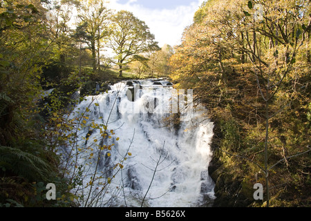 Betws y Coed Conwy North Wales UK ottobre l'impressionante Swallow cade sul fiume Llugwy circondato da colori autunnali Foto Stock