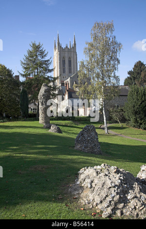 Saint Edmundsbury Cathedral da Abbey Gardens Bury St Edmunds Suffolk in Inghilterra Foto Stock