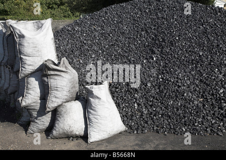 Pile di carbone in una centrale a carbone di mercanti cantiere Rackhams Wickham Market Suffolk in Inghilterra Foto Stock