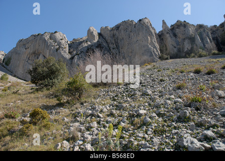 Ghiaione vicino a Els Frares pinnacoli di roccia, Sierra de Serrella, Comtat, Provincia di Alicante, Comunidad Valenciana, Spagna Foto Stock