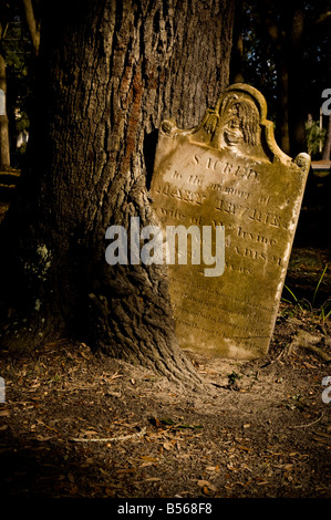 Hilton head cimitero, albero che cresce attorno alla testa stone Foto Stock