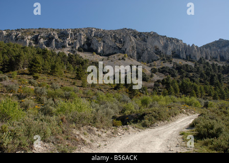 Via A Els Frares pinnacoli di roccia, Sierra de Serrella, Comtat, Provincia di Alicante, Comunidad Valenciana, Spagna Foto Stock