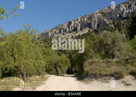 Via A Els Frares pinnacoli di roccia, Sierra de Serrella, Comtat, Provincia di Alicante, Comunidad Valenciana, Spagna Foto Stock