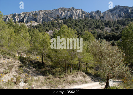 Via A Els Frares pinnacoli di roccia, Sierra de Serrella, Comtat, Provincia di Alicante, Comunidad Valenciana, Spagna Foto Stock