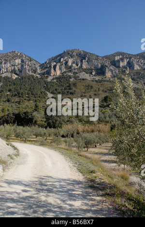 Via A Els Frares pinnacoli di roccia, Sierra de Serrella, Comtat, Provincia di Alicante, Comunidad Valenciana, Spagna Foto Stock