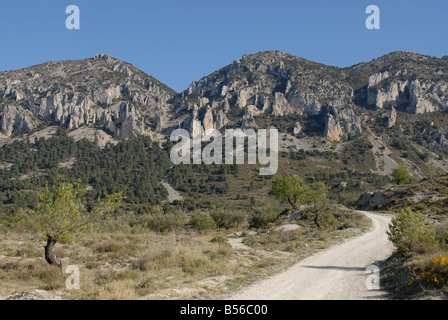 Via A Els Frares pinnacoli di roccia, Sierra de Serrella, Comtat, Provincia di Alicante, Comunidad Valenciana, Spagna Foto Stock