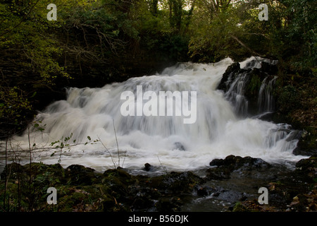 Le Fairy Falls sul fiume Crafnant vicino Trefriw, Conwy, Galles Foto Stock