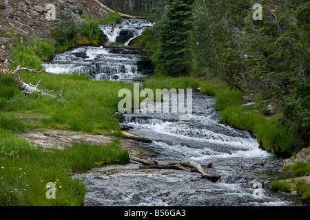 Serie di cascate sul piccolo fiume a Monte Lassen National Park California Foto Stock