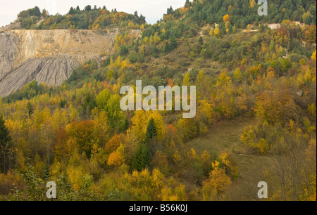 Rosia montana nei monti Metaliferi; oro vecchio funzionamento proposto ora sito del più grande d'Europa a cielo aperto miniera d'oro, Romania Foto Stock