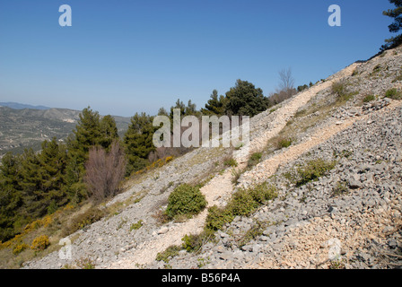 Ghiaione vicino a Els Frares pinnacoli di roccia, Sierra de Serrella, Comtat, Provincia di Alicante, Comunidad Valenciana, Spagna Foto Stock