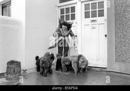 Cani sfrattati. La sig.ra Fay Hughes. Gennaio 1975 75-00437-006 Foto Stock