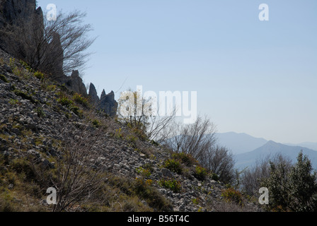 Ghiaione vicino a Els Frares pinnacoli di roccia, Sierra de Serrella, Comtat, Provincia di Alicante, Comunidad Valenciana, Spagna Foto Stock