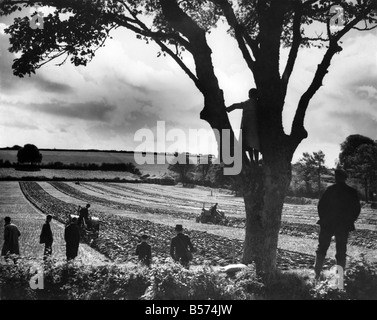 La Buona Terra. Il cavallo tirato aratro viene estromesso dal trattore rumorosi che possono rendere più dritto un solco come il più esperto team di cavalli. La scena è a prua, metà Devon, dove gli agricoltori si sono riuniti per tenere l'aratura annuale concorsi--e per la prima volta nella lunga storia di questo anno e non un solo cavallo aratro inserito. Ottobre 1944 P004481 Foto Stock